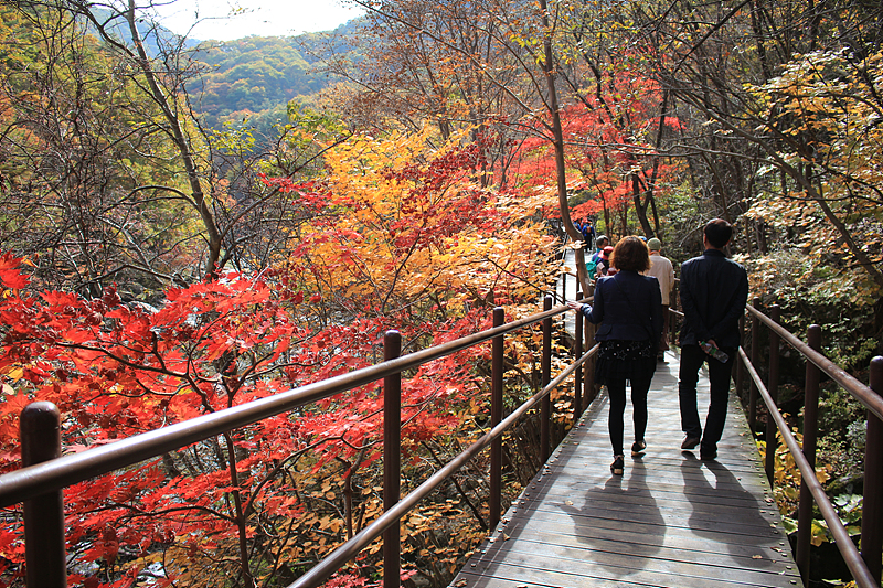 지리산 뱀사골 단풍