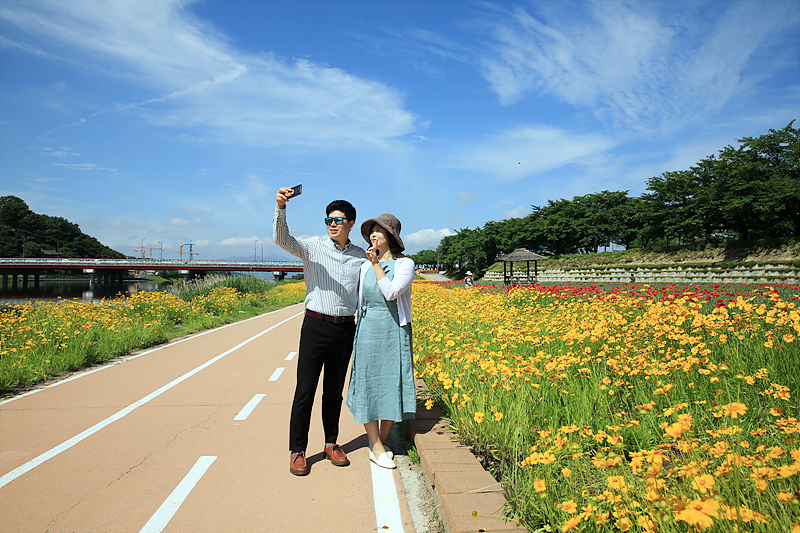 요천변 꽃단지