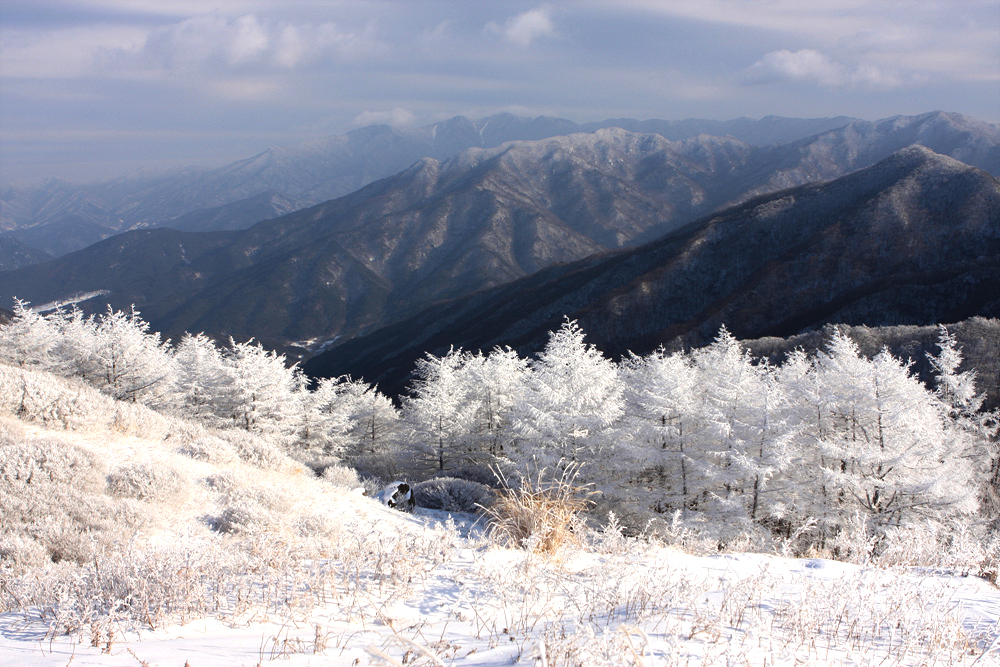 지리산 바래봉 설경