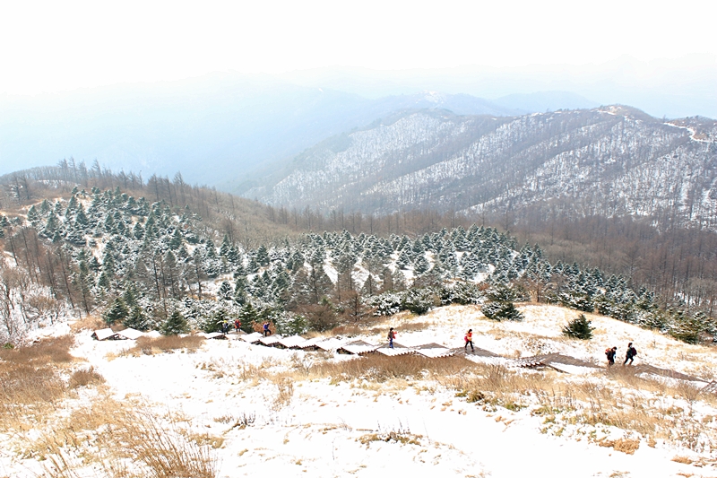 지리산 바래봉 첫눈