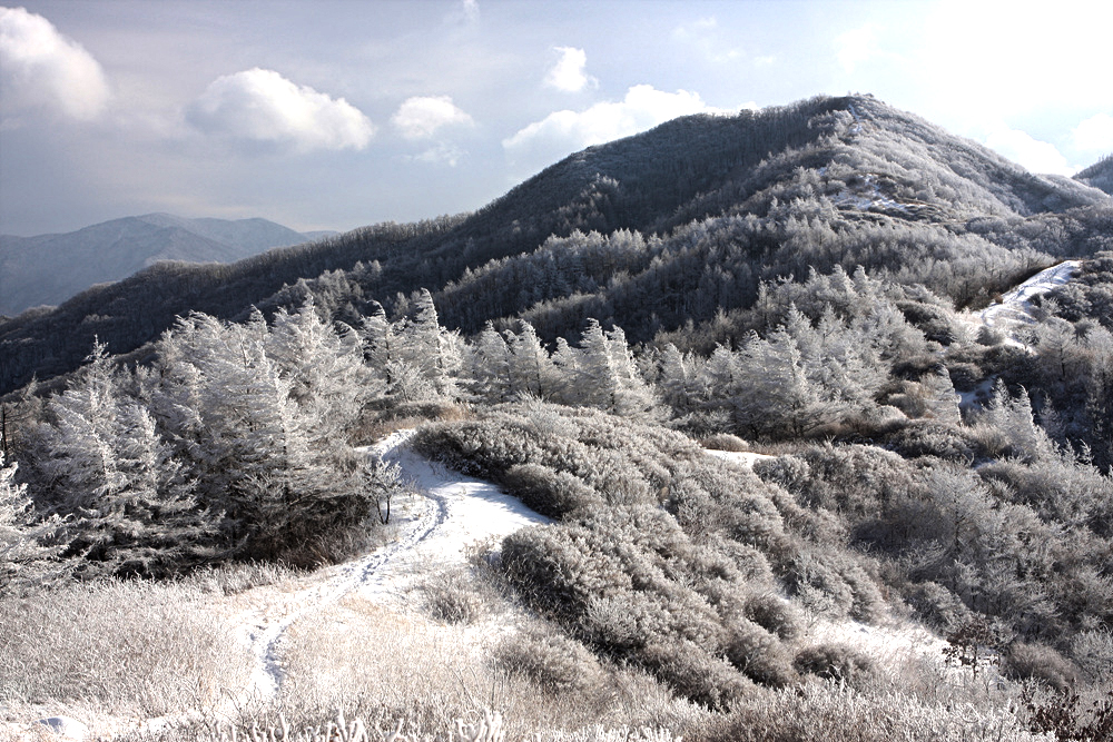 지리산 바래봉 설경