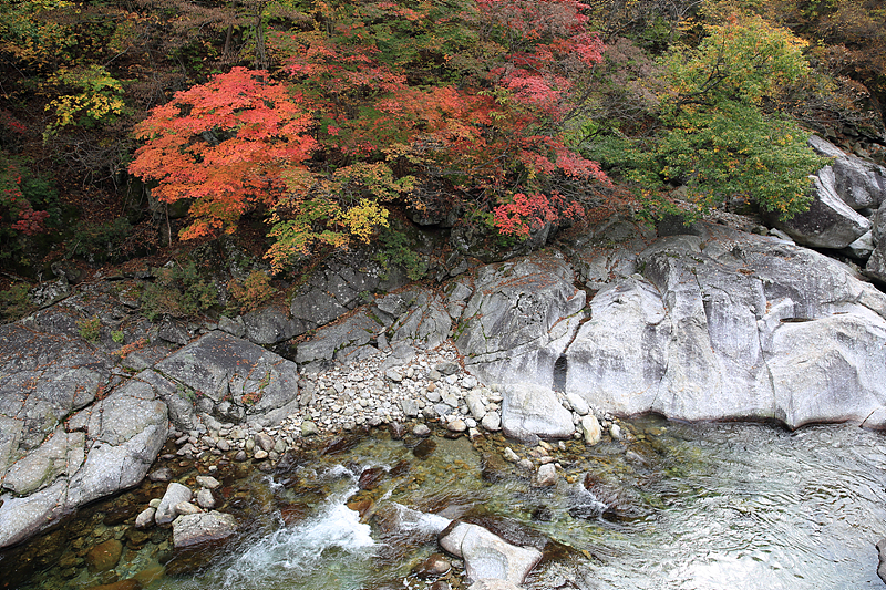 지리산 뱀사골 단풍