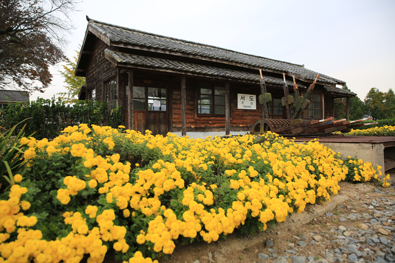 서도역의 가을