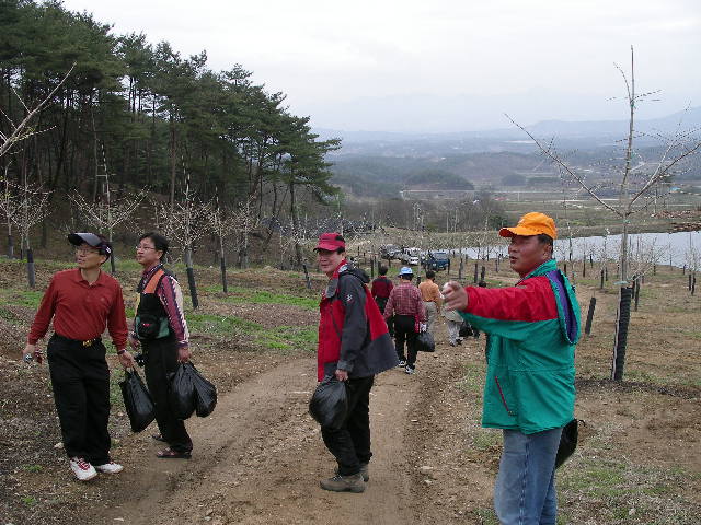 고사리 밭