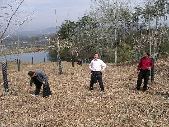 고사리 밭