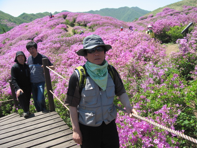 2009년 5월 11일 지금, 바래봉의 붉은 꽃이 푸른 하늘을 물 드리다/이훈정