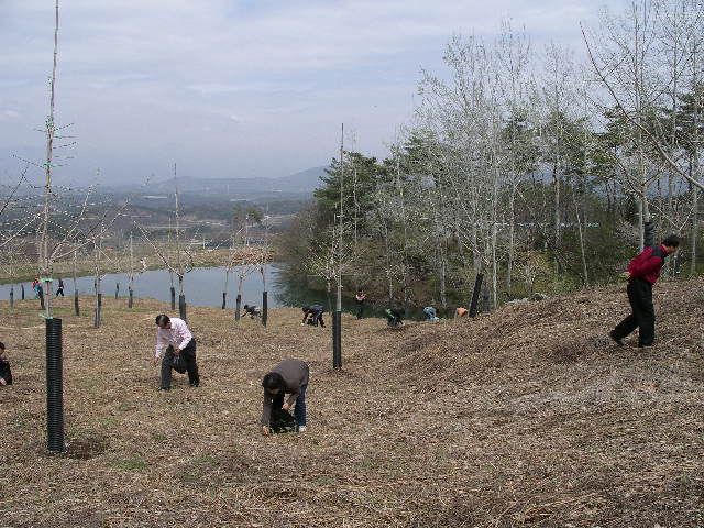 고사리 찾기