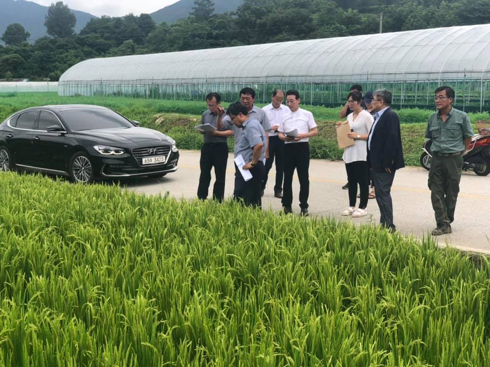 장마철 주요 영농 현장 순회