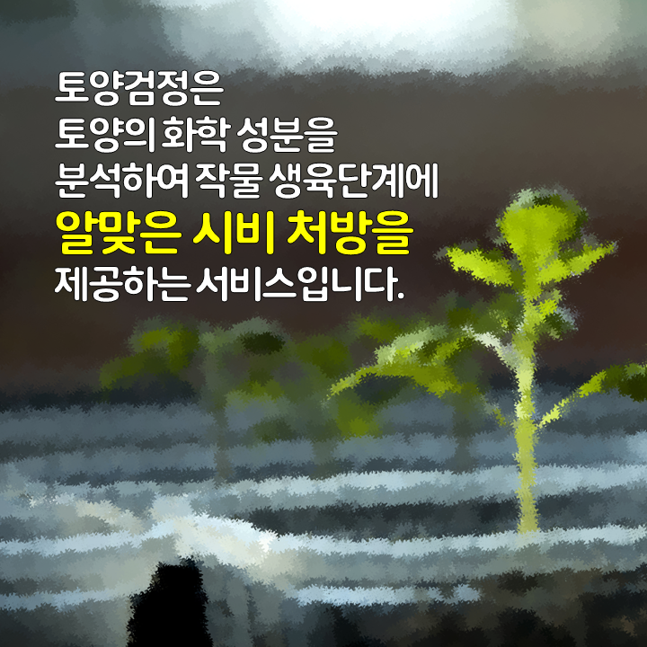 토양검정3.png