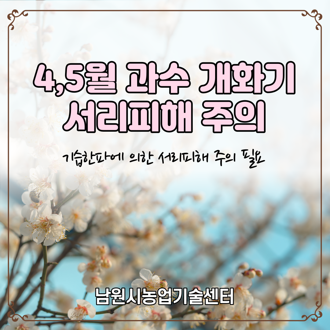 4,5월과수개화기서리피해주의1.jpeg