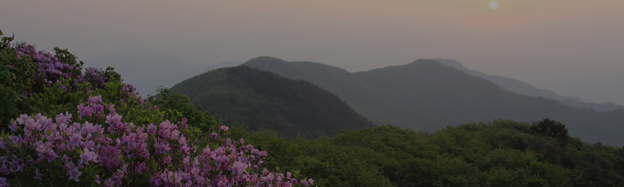 메인