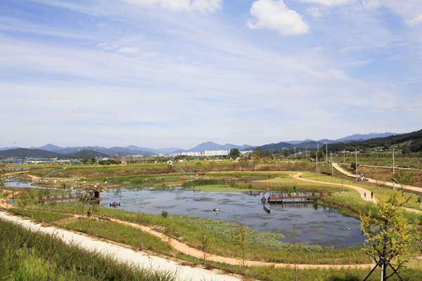 수변부 수서식물 및 산책로