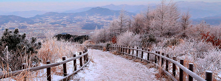 Baraebong Snow Flower Festival