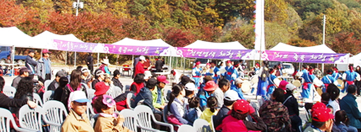 智異山ペムサゴル紅葉祭り