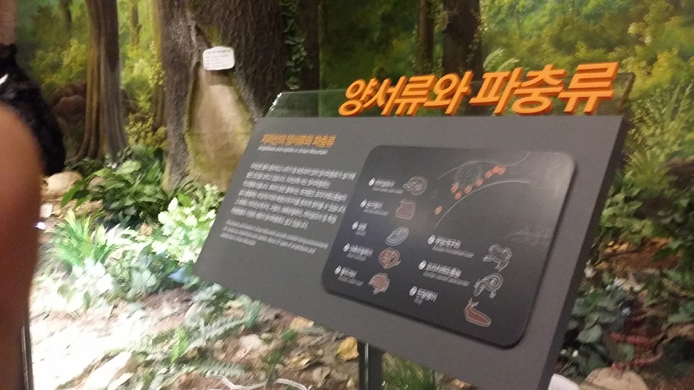 물두꺼비의 섭식 사진