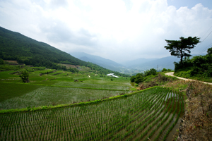 상황마을 사진