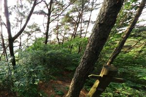 꼭두마리재 사진