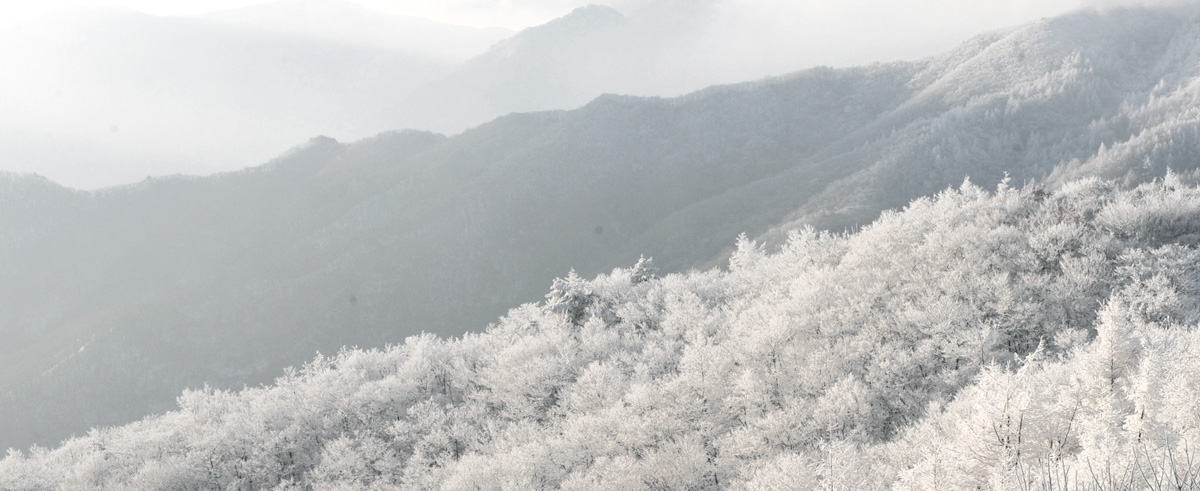 바래봉둘레길