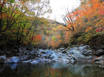 지리산 뱀사골 사진