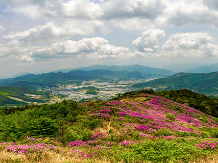 봉화산 사진