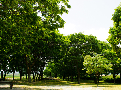 서림공원 사진